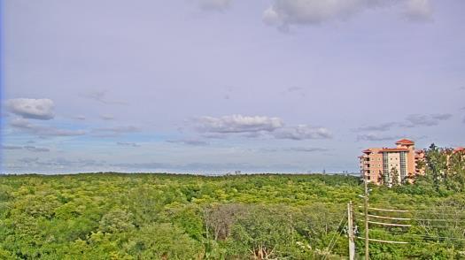 Weather camera view of WTSP-TV.