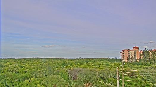 Weather camera view of WTSP-TV.