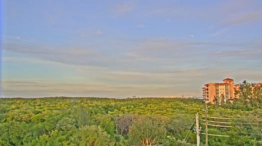 Weather camera view of WTSP-TV.