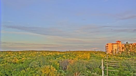 Weather camera view of WTSP-TV.