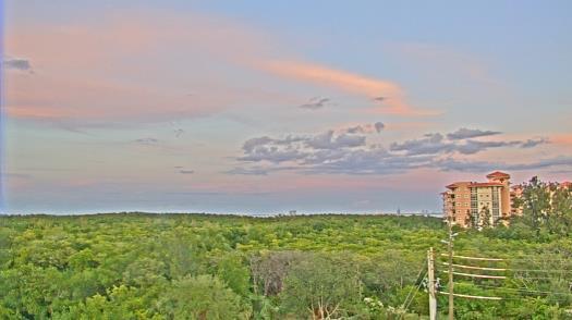 Weather camera view of WTSP-TV.