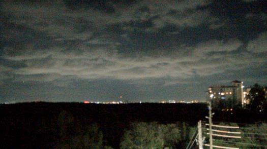 Weather camera view of WTSP-TV.