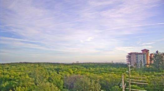 Weather camera view of WTSP-TV.