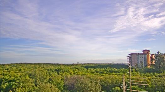 Weather camera view of WTSP-TV.