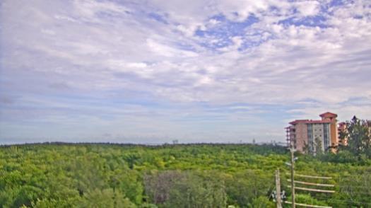 Weather camera view of WTSP-TV.