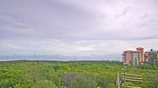 Weather camera view of WTSP-TV.