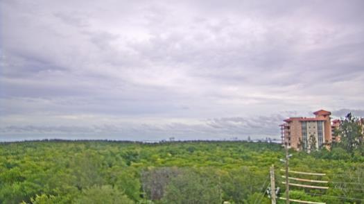 Weather camera view of WTSP-TV.