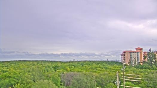 Weather camera view of WTSP-TV.