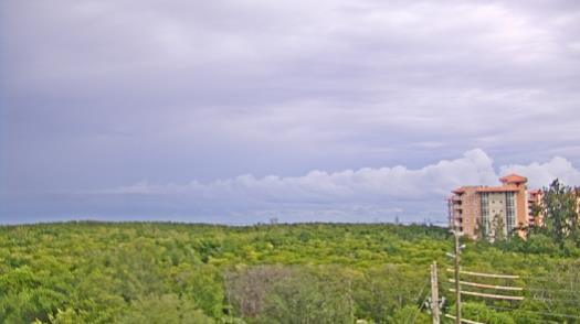 Weather camera view of WTSP-TV.