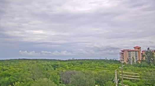 Weather camera view of WTSP-TV.