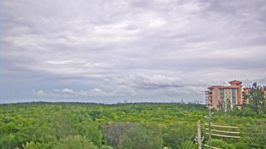 Weather camera view of WTSP-TV.