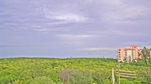 Weather camera view of WTSP-TV.