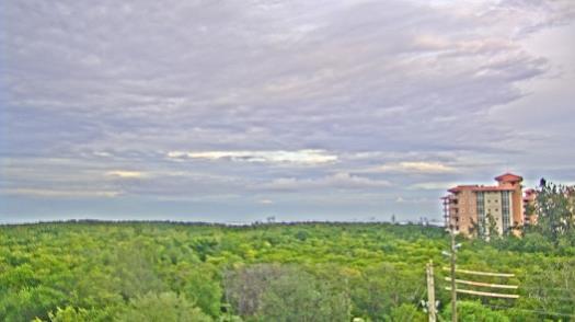 Weather camera view of WTSP-TV.