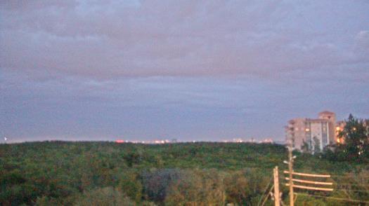 Weather camera view of WTSP-TV.