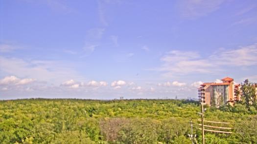 Weather camera view of WTSP-TV.