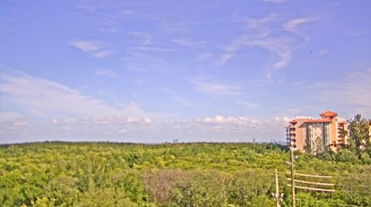 Weather camera view of WTSP-TV.