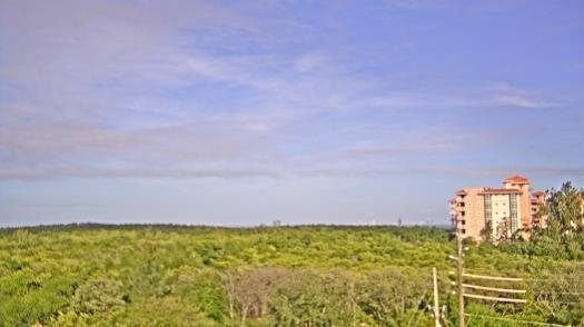 Weather camera view of WTSP-TV.