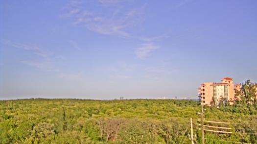 Weather camera view of WTSP-TV.