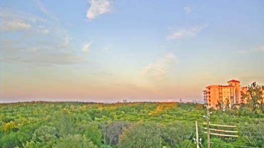 Weather camera view of WTSP-TV.