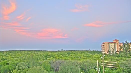 Weather camera view of WTSP-TV.