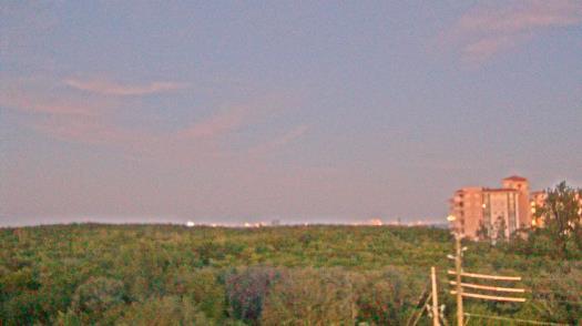 Weather camera view of WTSP-TV.