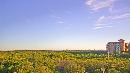 Weather camera view of WTSP-TV.