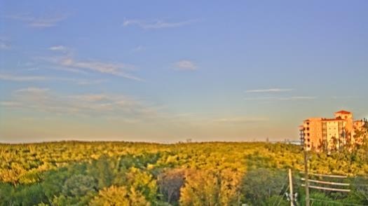 Weather camera view of WTSP-TV.