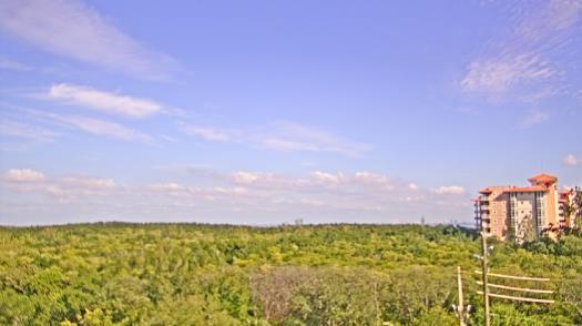 Weather camera view of WTSP-TV.