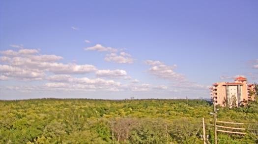 Weather camera view of WTSP-TV.