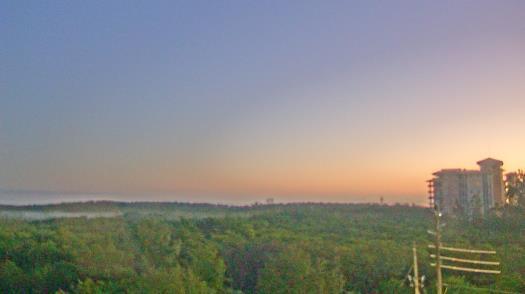 Weather camera view of WTSP-TV.