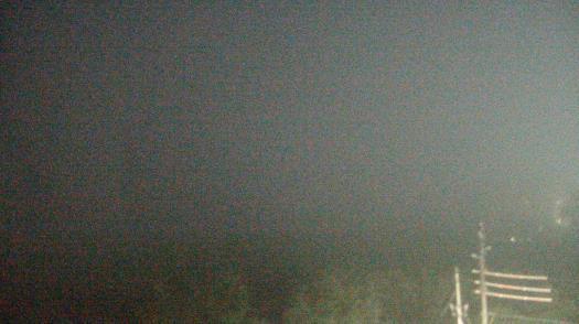 Weather camera view of WTSP-TV.