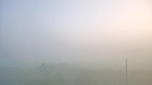 Weather camera view of WTSP-TV.