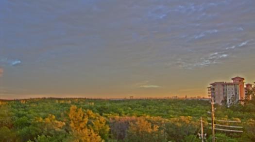 Weather camera view of WTSP-TV.