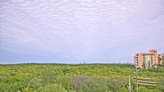 Weather camera view of WTSP-TV.