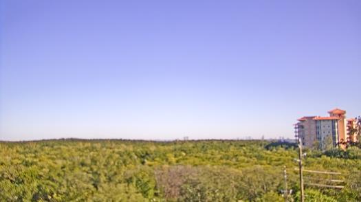 Weather camera view of WTSP-TV.