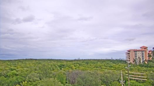 Weather camera view of WTSP-TV.