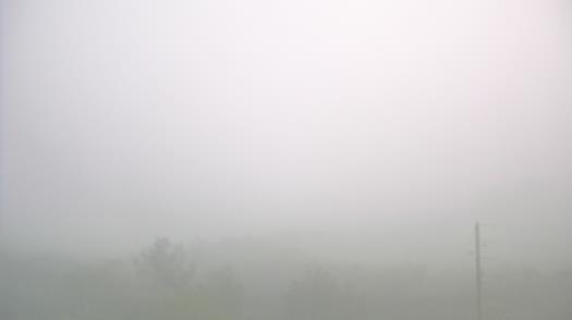 Weather camera view of WTSP-TV.