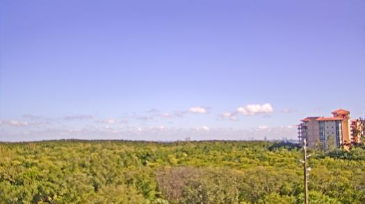 Weather camera view of WTSP-TV.
