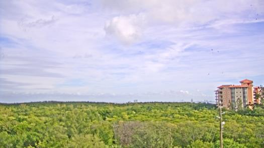 Weather camera view of WTSP-TV.