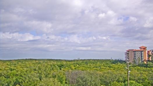 Weather camera view of WTSP-TV.