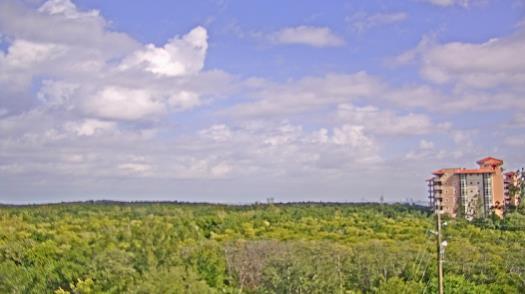 Weather camera view of WTSP-TV.