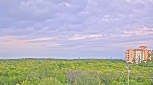 Weather camera view of WTSP-TV.