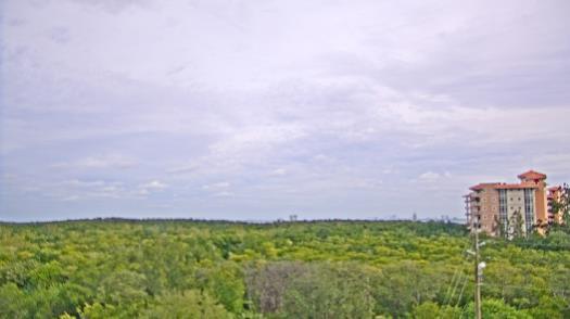 Weather camera view of WTSP-TV.