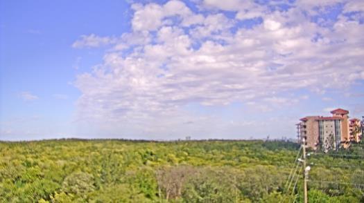 Weather camera view of WTSP-TV.