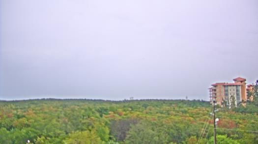 Weather camera view of WTSP-TV.