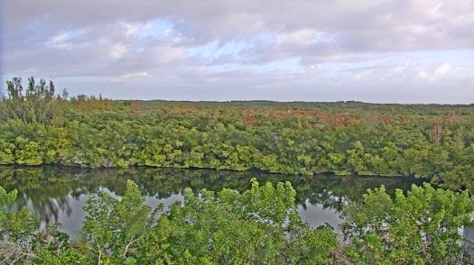 Weather camera view of WTSP-TV.
