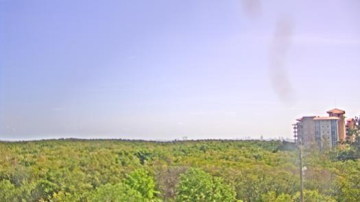 Weather camera view of WTSP-TV.