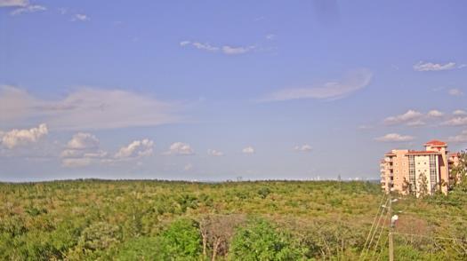 Weather camera view of WTSP-TV.