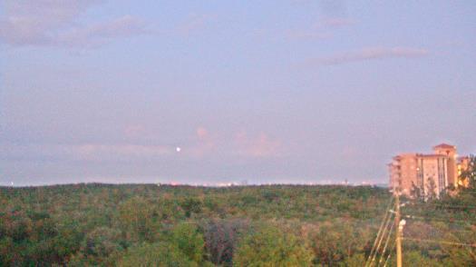 Weather camera view of WTSP-TV.