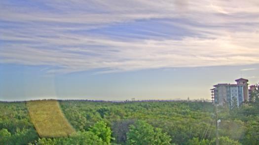 Weather camera view of WTSP-TV.